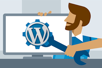 trouble shoot your wordpress website