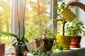 write engaging blogs and articles about houseplants