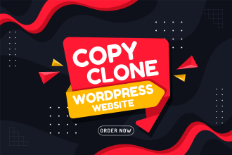 redesign copy clone website and wordpress website or blog
