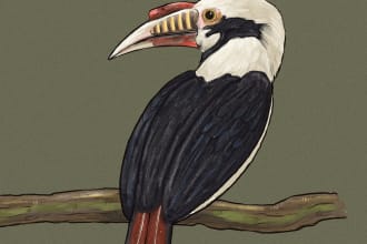 draw a beautiful scientific drawing of any animal