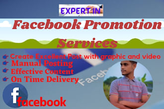 be your facebook promotion manager