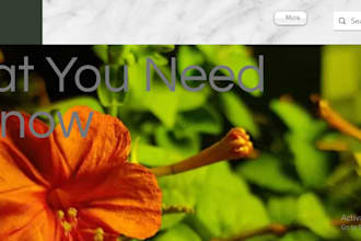 create website logo and poster if you need