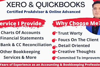 do setup, cleanup, and bookkeeping in quickbooks online xero wave