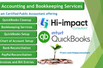 manage accounting, bookkeeping, cleanup in quickbooks online