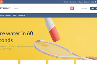 develop and design responsive ecommerce website