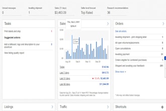 manage your ebay account as a virtual assistant