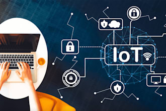 make iot and robotics project for you