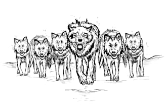 create ink illustrations and sketches