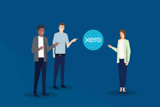teach you xero basic to advance