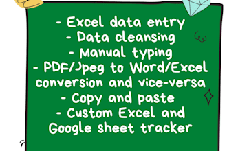 perform data entry, file cleansing, and manual typing