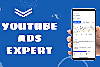 be an expert consultant for your youtube ads campaign