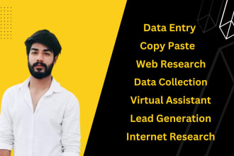 do email collection, data input, data extraction, data entry and web research