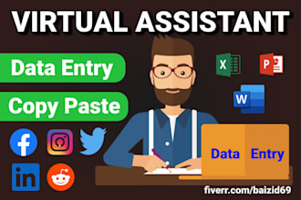 virtual assistant for data entry, typing work, web research