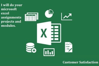 do your microsoft excel assignments projects and modules