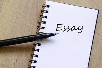 essay writing and revision