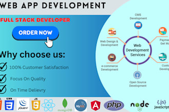 be your professional web app developer