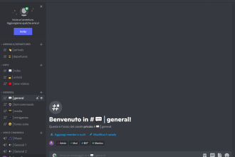 make sure your discord server is very professional