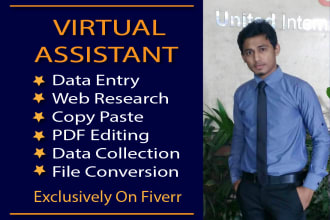 be your perfect virtual assistant for excel data entry, web research, copy paste