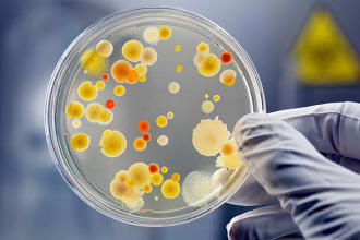 be your tutor in microbiology