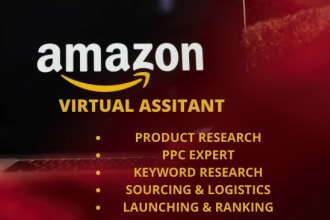 be your amazon virtual assistant and manage your store VA consultant