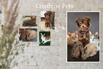 combine your pet photos into one realistic image