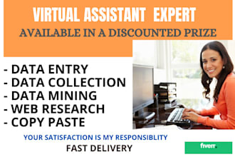 virtual assistant for data entry, data mining, copy paste, web research