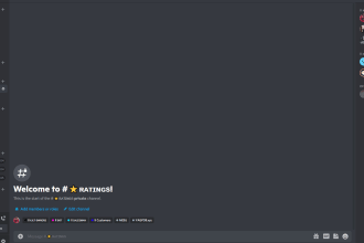 create a high class discord server for you