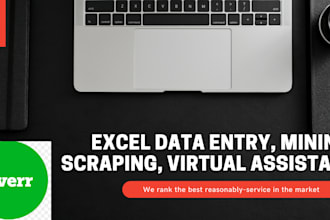 make data entry, web research ,scraping, excel and virtual assistance