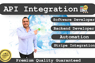program a custom api integration or automation