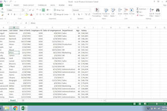 do data sorting, data collection, typing work