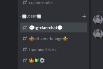 create a customized and professional discord server for you