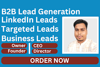 provide b2b lead generation linkedin lead generation