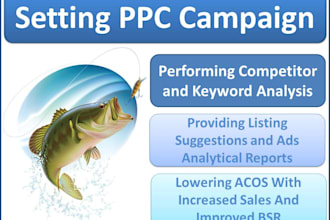 setup PPC campaign, with competitor and keyword analysis,  listing suggestions