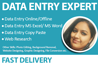 do data entry  on softwares and microsoft excel