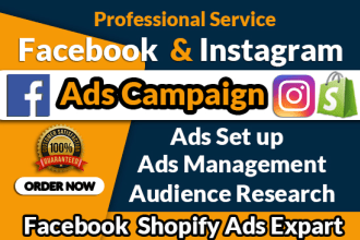 set up manage your facebook and instagram ads campaign run shopify ads