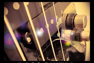 provide bass guitar for your song