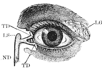 create your tattoo design
