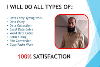 do data entry  copy paste  and typing work