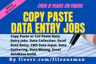 be your virtual assistant for data entry and data handling
