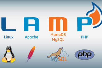 setup lamp, phpmyadmin on your vps or dedicated server