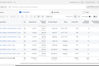 setup facebook campaign and strategy