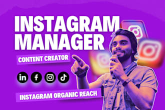 grow your instagram organic reach
