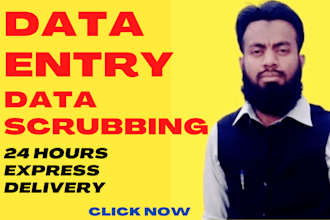 do freelance data entry work in 24 hours