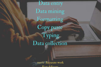 do data entry, copy paste, typing and analyze data and data mining for you