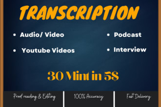 transcribe audio, video, podcast, interview, youtube transcription in 12 hours