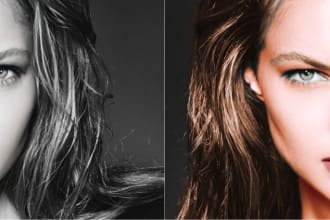 colorize black and white photos