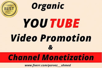 do organic youtube promotion and channel monetization