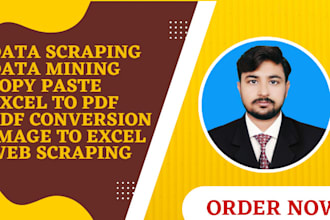 do fastest data entry,data mining,web scraping,copy paste