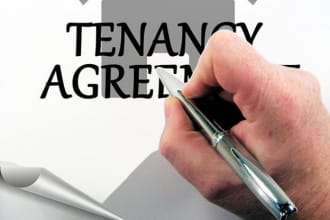 write any contract agreement for you