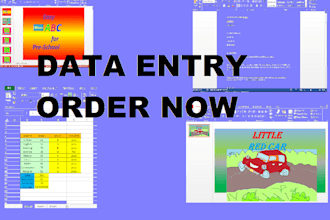 expert for data entry